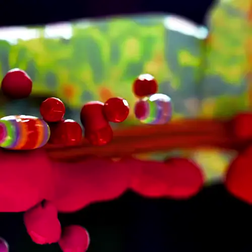 Moving clip from the VPRO Brainfood advert: a clay head with wide eyes in bright swirling colour