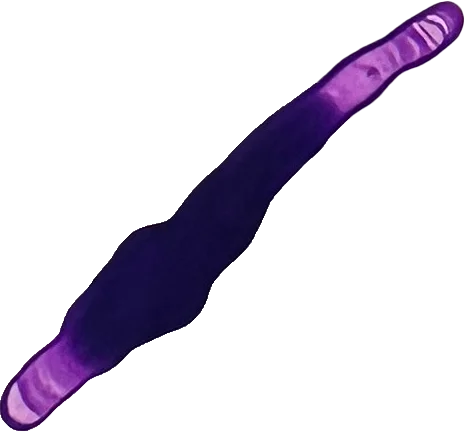 The painted mark for Common Crawl