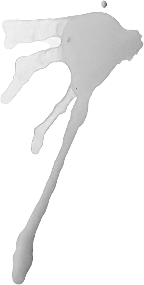 The painted mark for Qwant