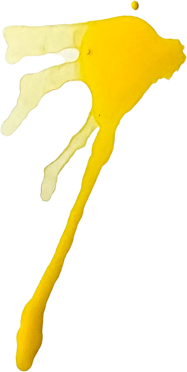 The painted mark for Scrapy