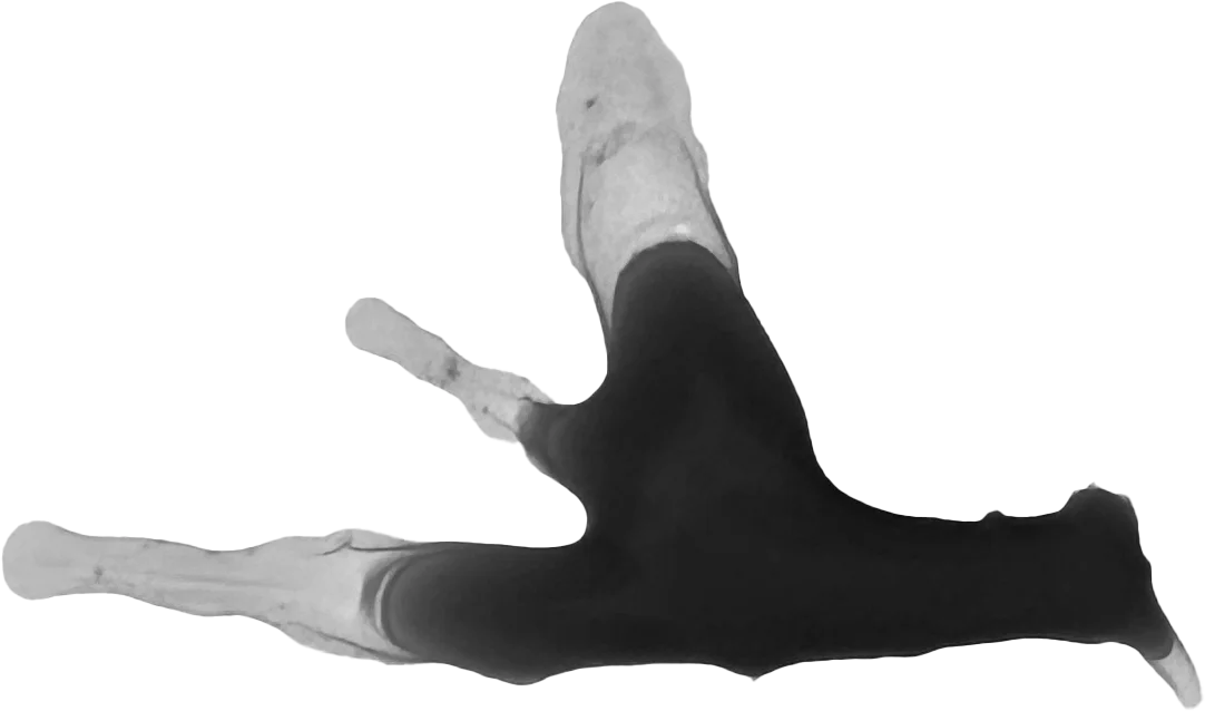 The painted mark for Wget