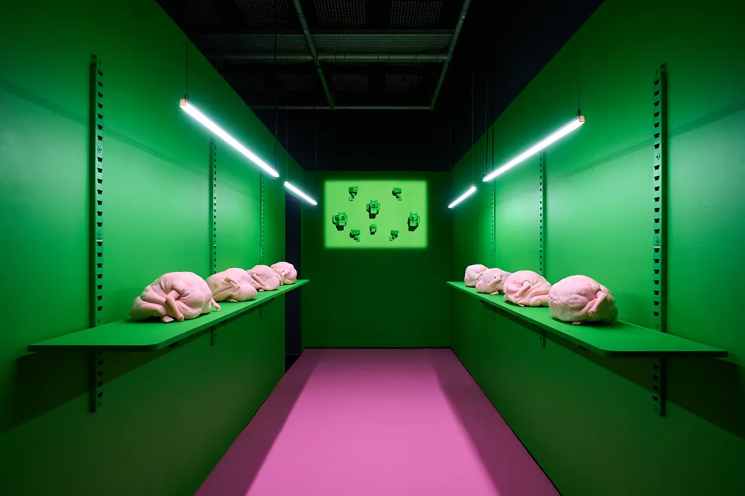 The installation: a green corridor lined with shelves of pink flesh-coloured lumps, a pink floor leading to a screen at the end