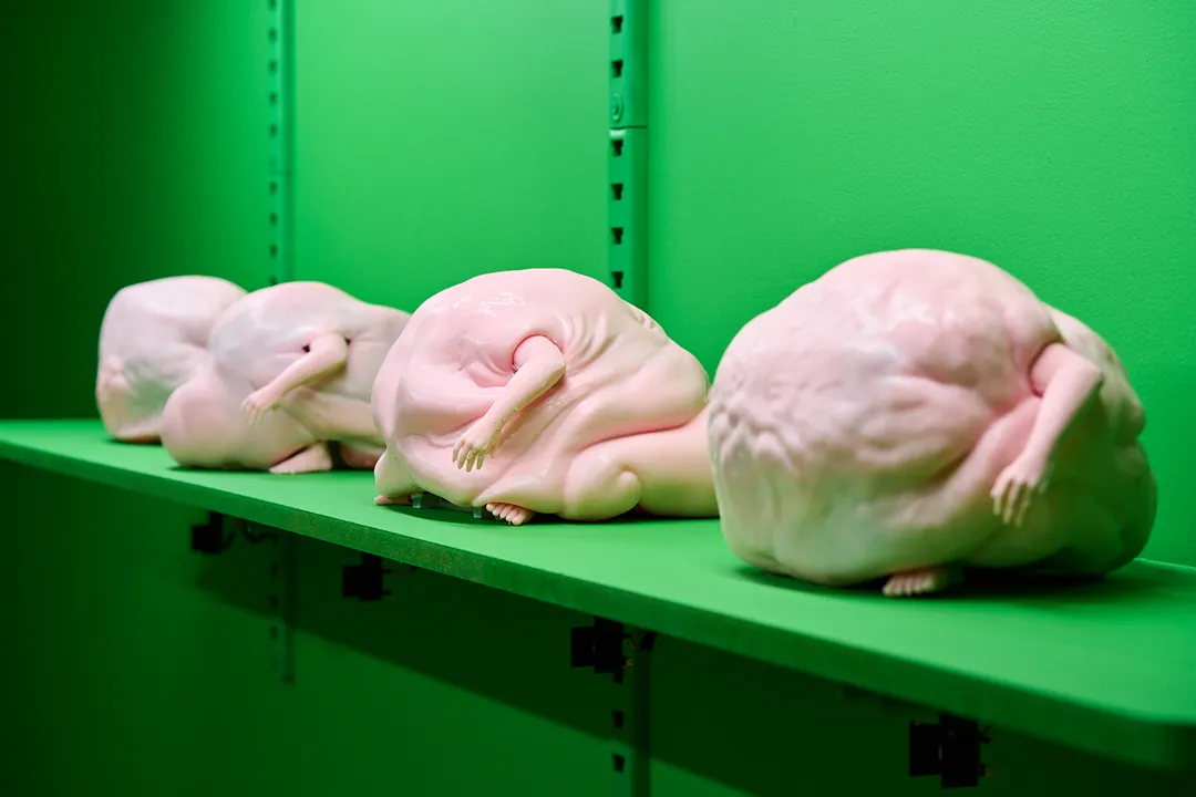 Pink lumps on a green shelf, one with a small arm and hand