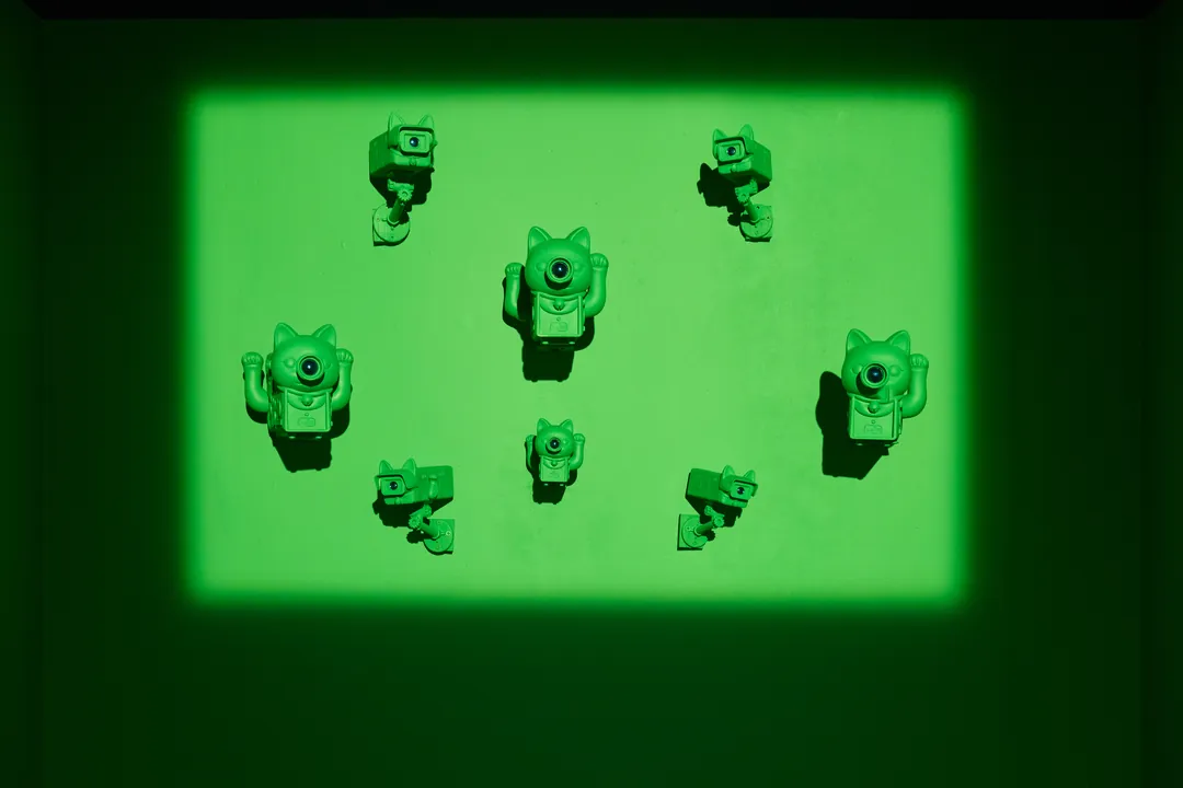 Green Lucky Cat cameras on the wall in a pool of green light