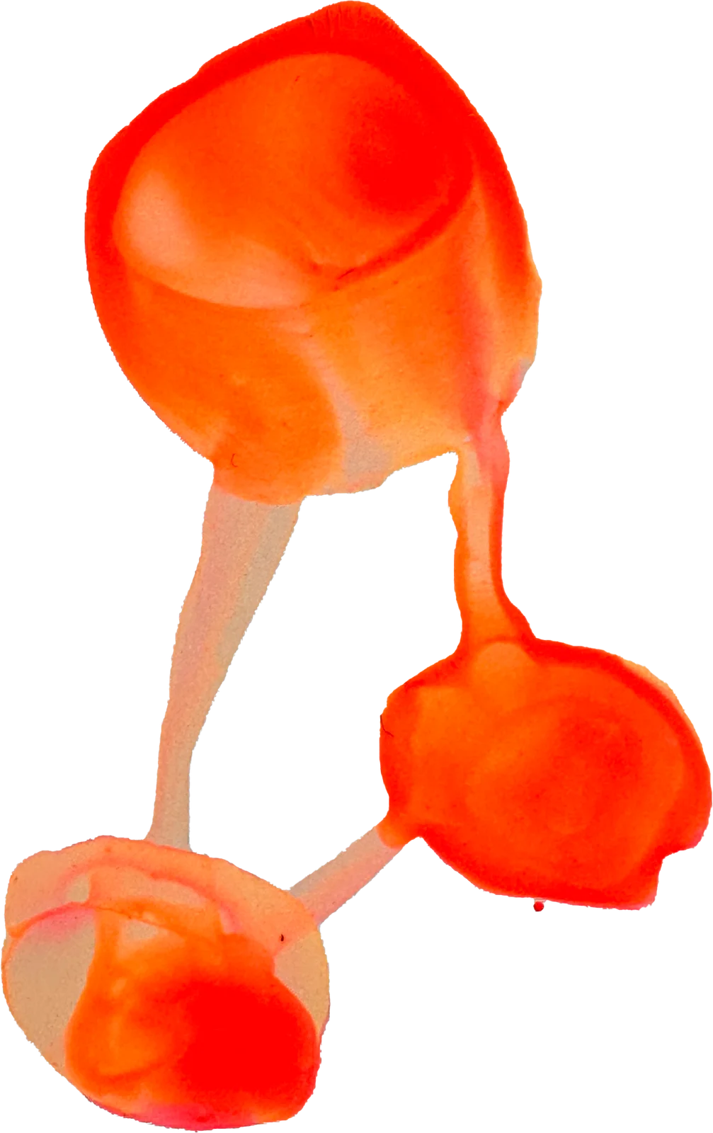 The painted mark for Barkrowler