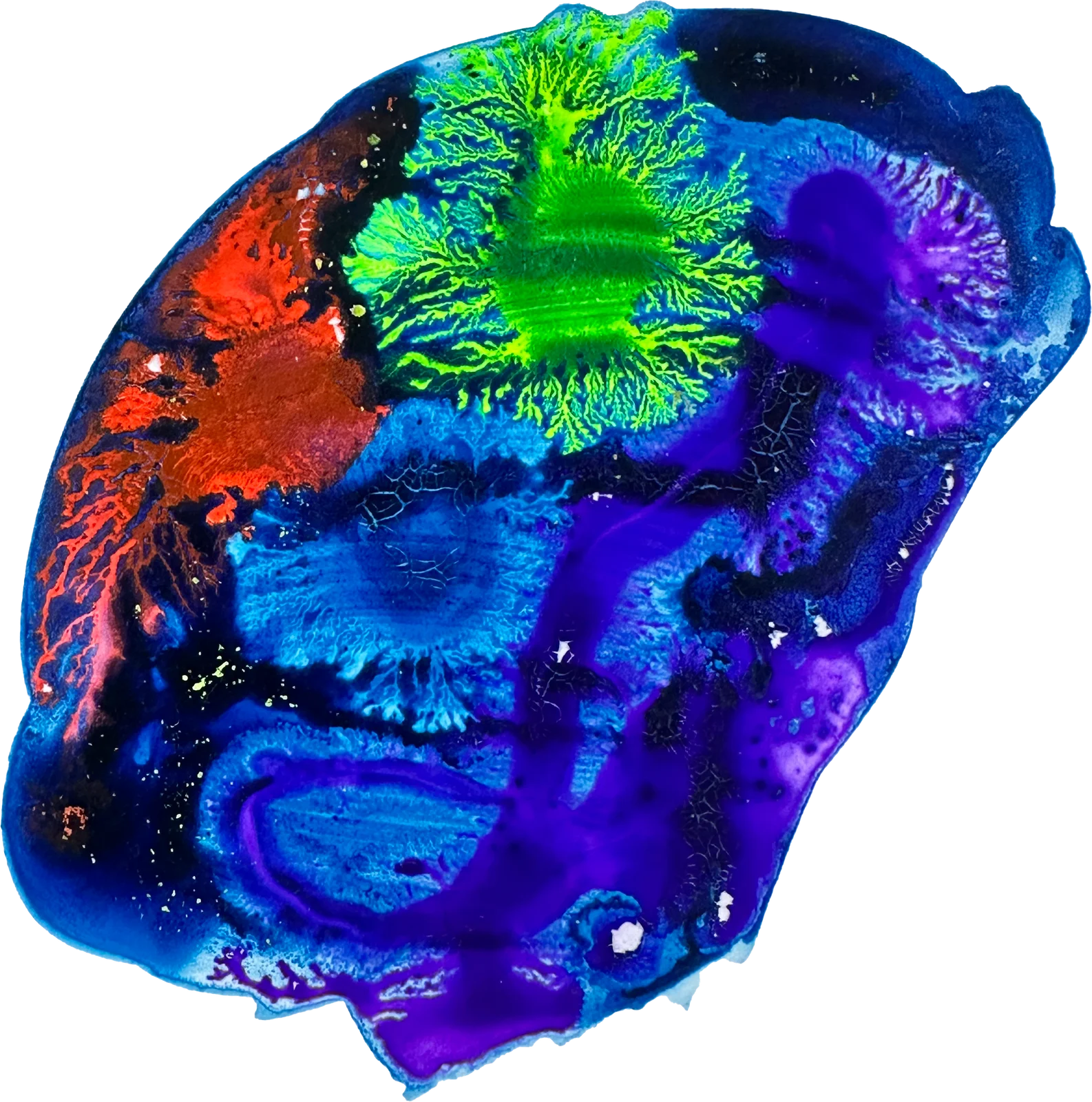 The painted mark for curl