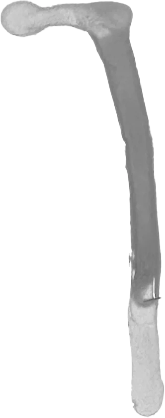 The painted mark for Discord