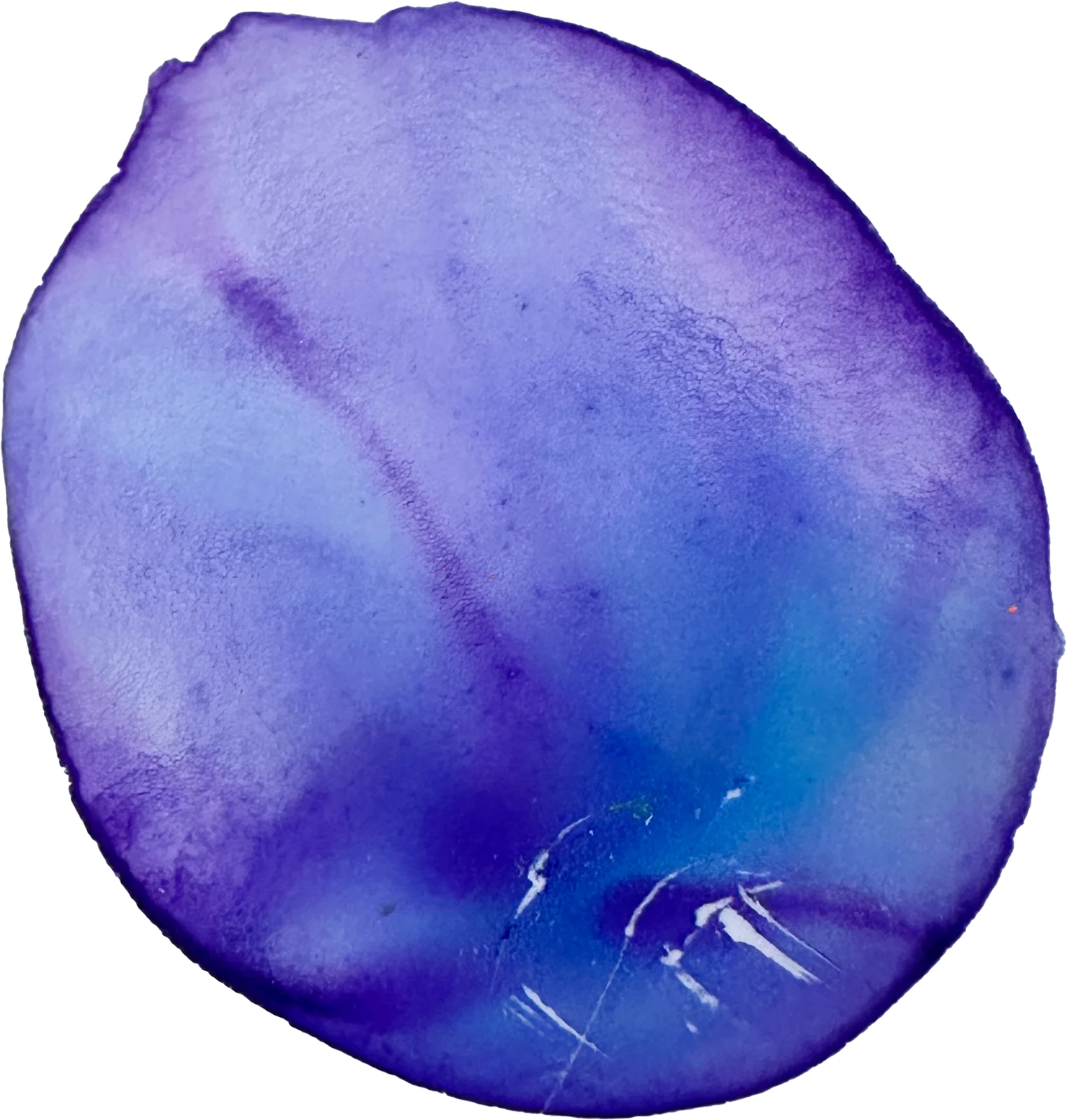The painted mark for Unnamed programs using a browser name
