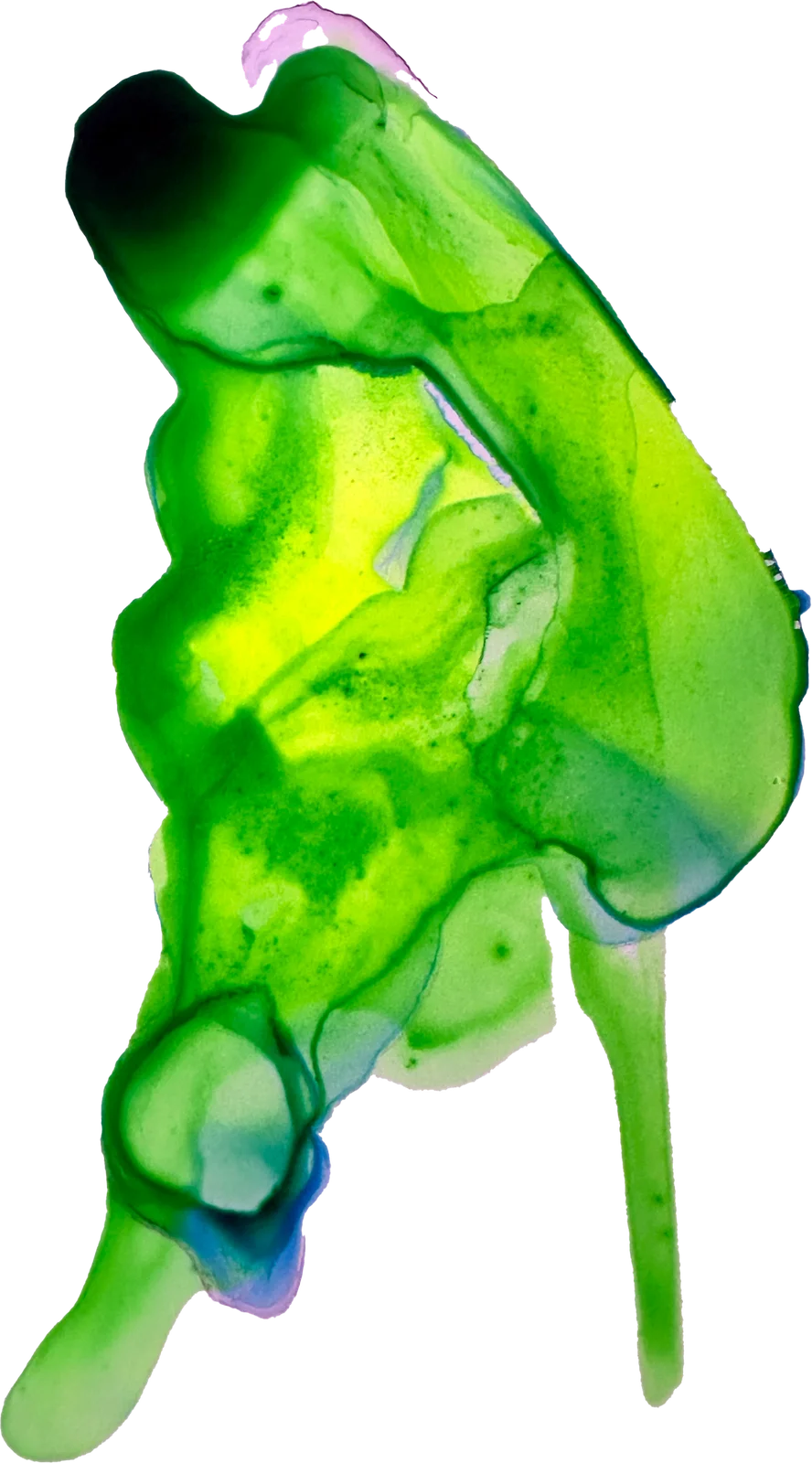 The painted mark for Security scanners