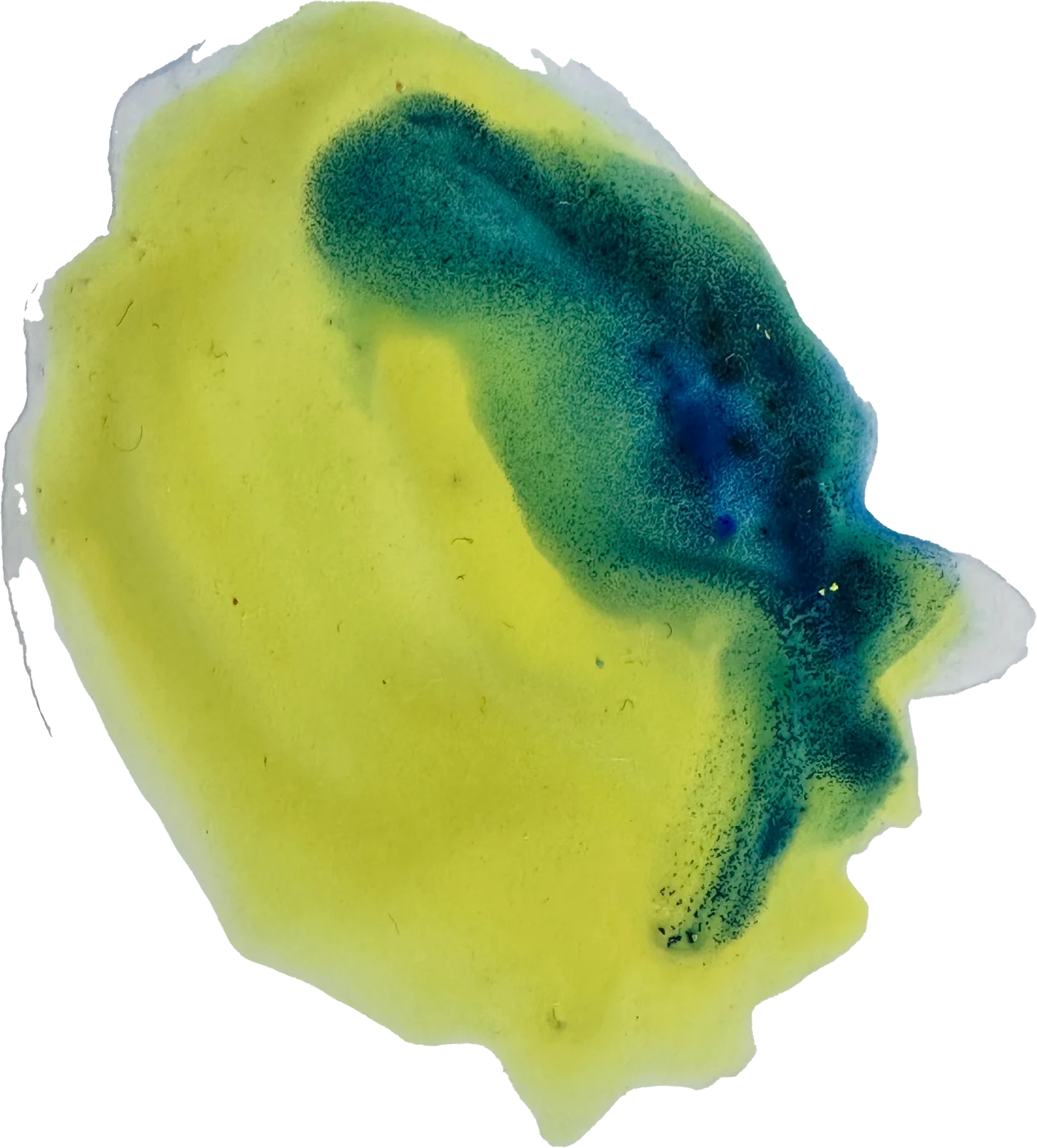 The painted mark for Serpstat