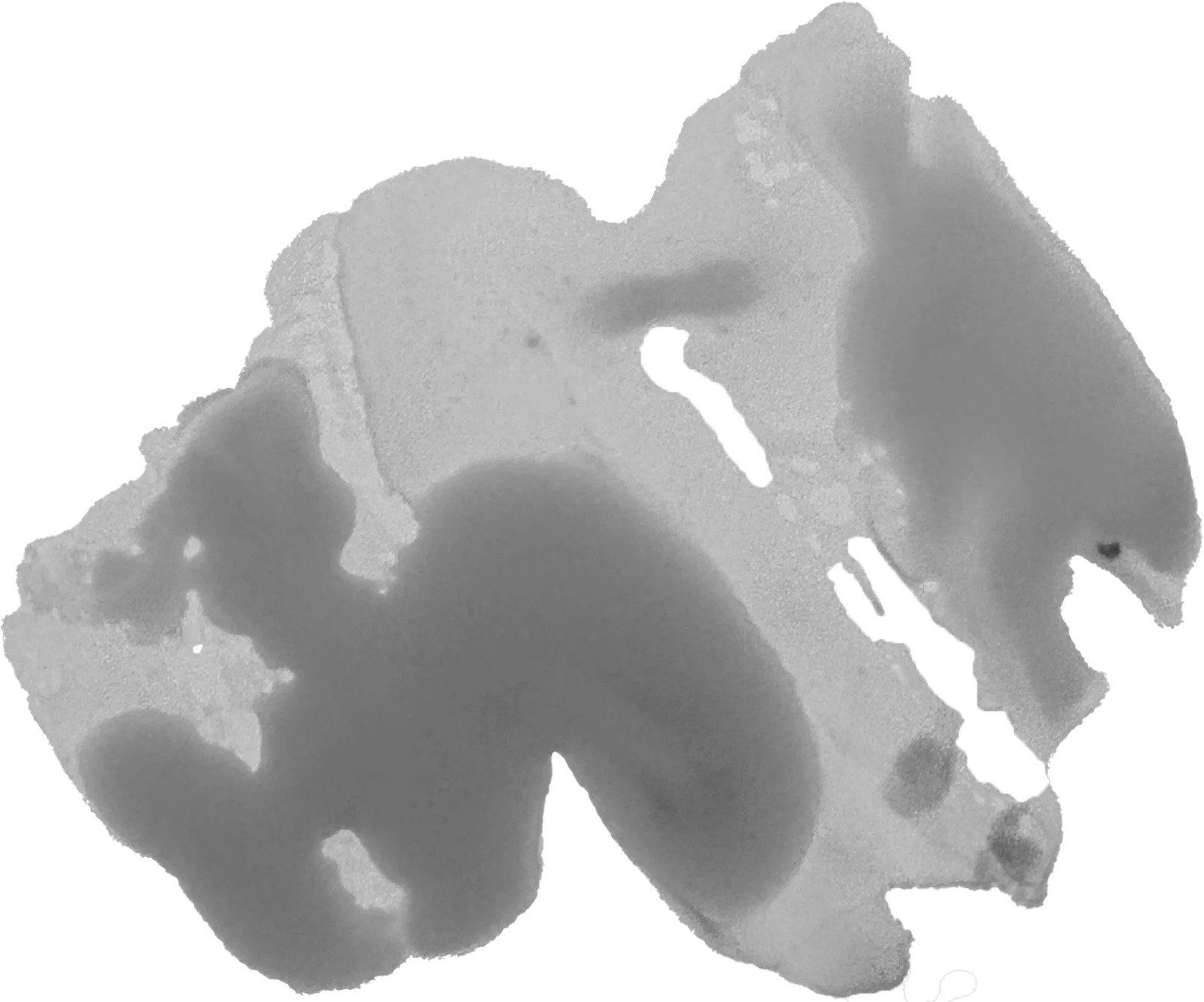 The painted mark for Slack