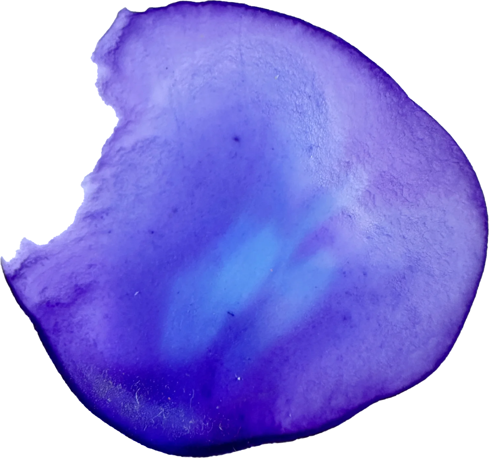 The painted mark for Peoplebots