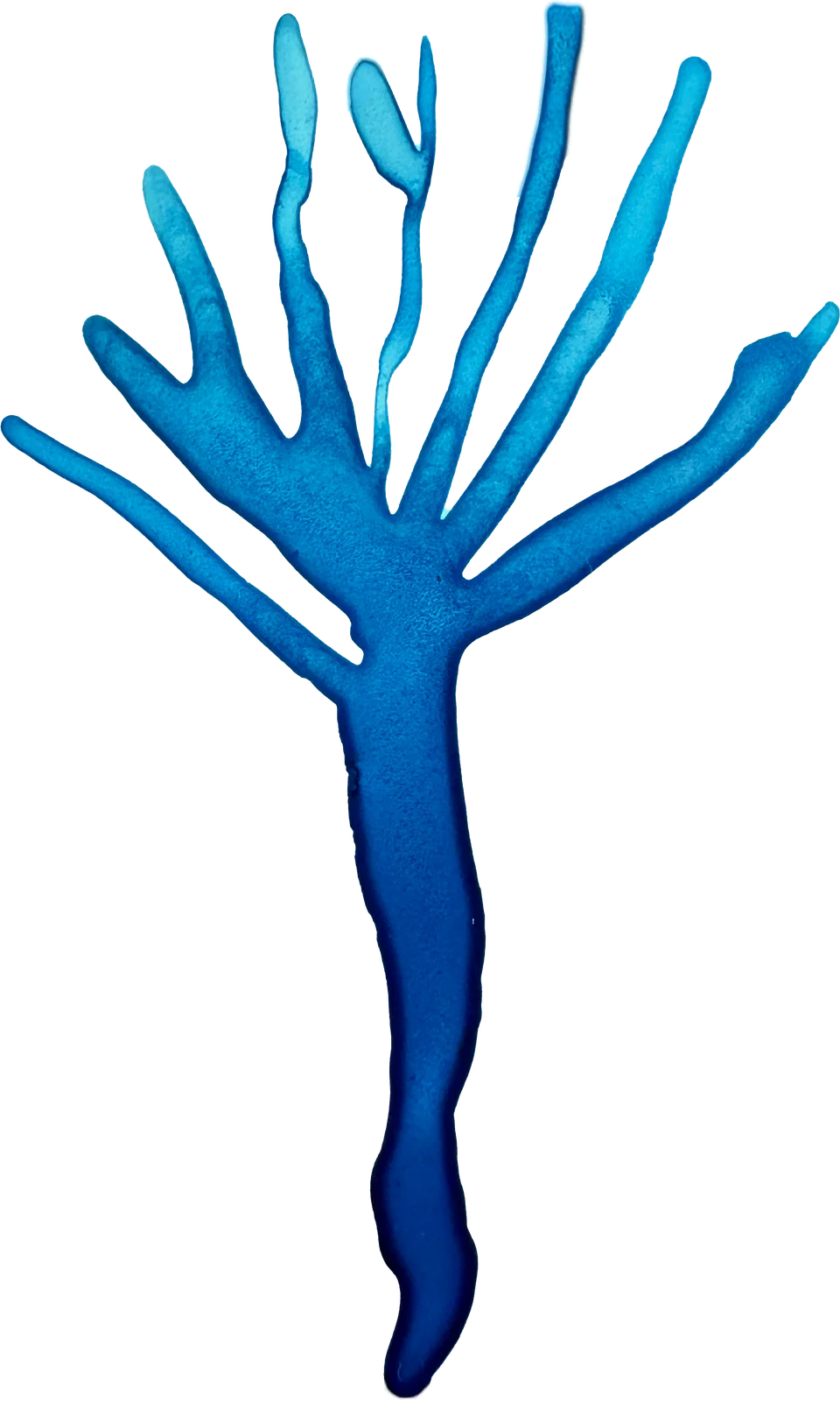 The painted mark for Yandex