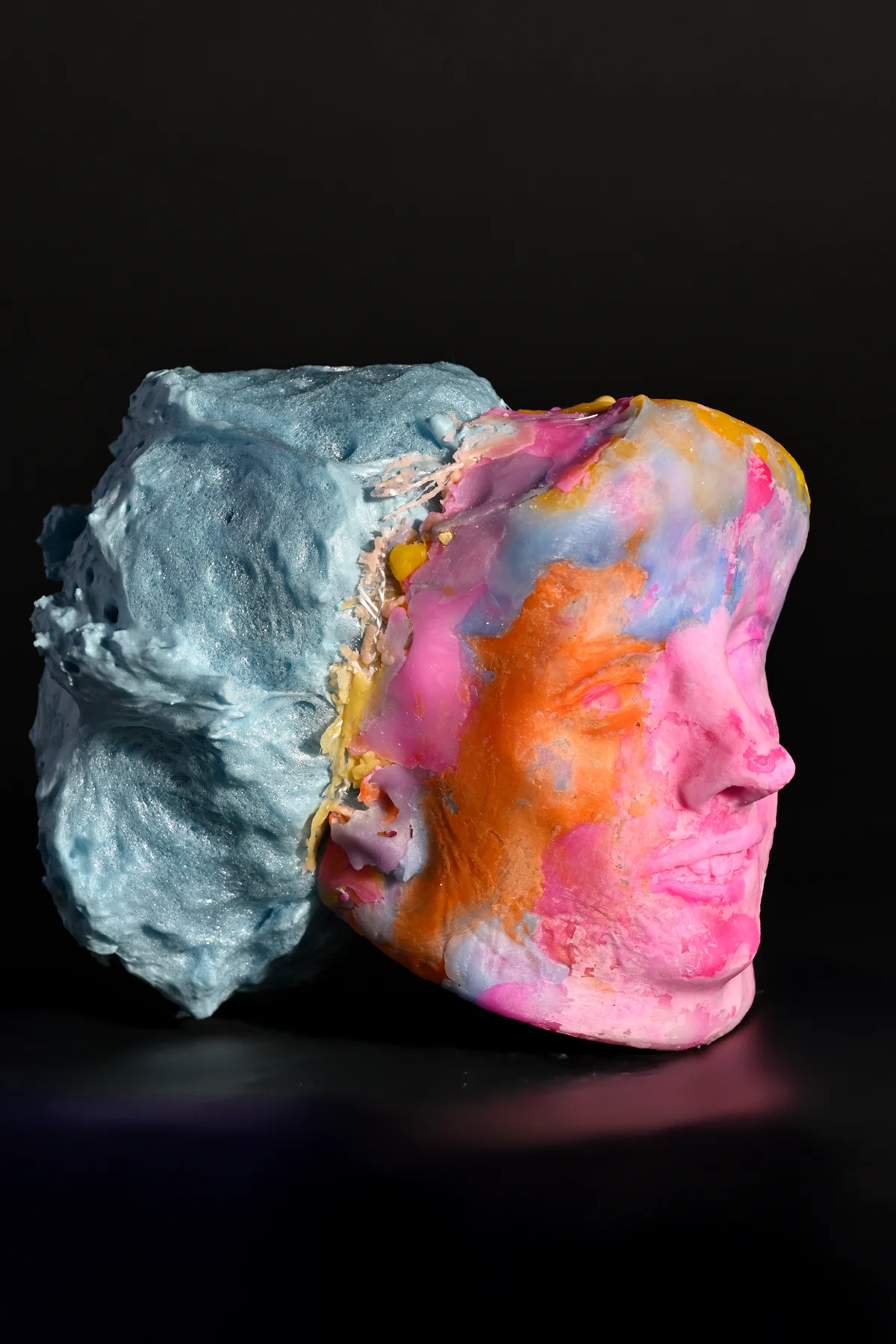 Cordyceps – Sergey Brin